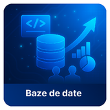 Site-uri web, magazine online si aplicatii